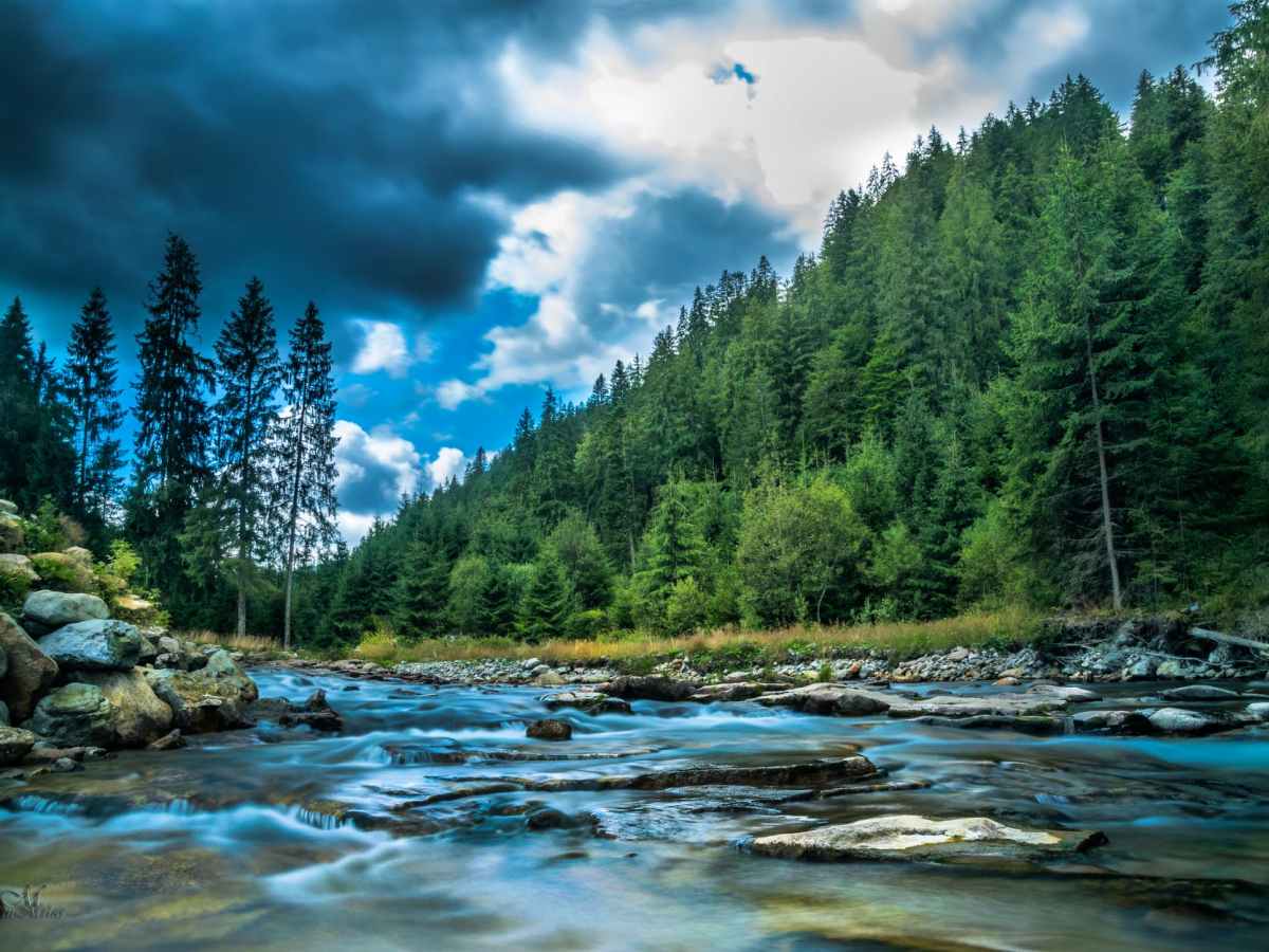 Contact Us for a Free Consultation